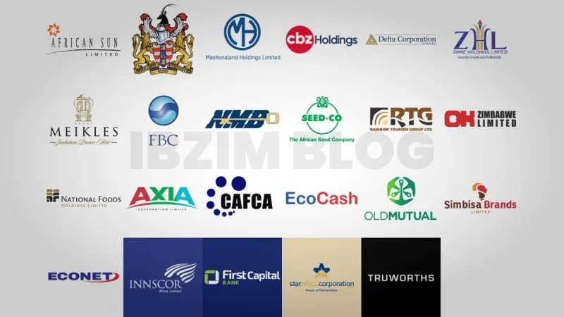 Richest Companies in Zimbabwe | IBZIM Richest Companies in Zimbabwe | IBZIM