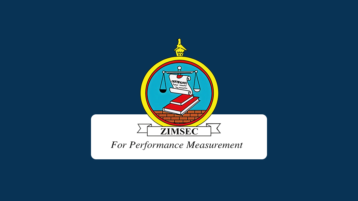 How to view ZIMSEC results online DCMV portal guide