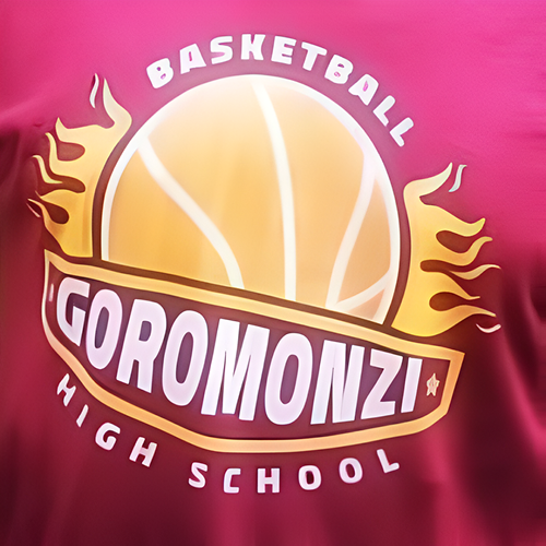 Goromonzi High School 