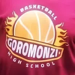 Goromonzi High School Basket Ball Team Logo