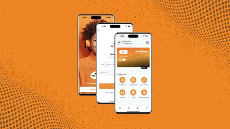 Latest onemoney usd and ZiG charges and limits | IBZIM Latest onemoney usd and ZiG charges and limits | IBZIM