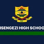 Msengezi High School Banner
