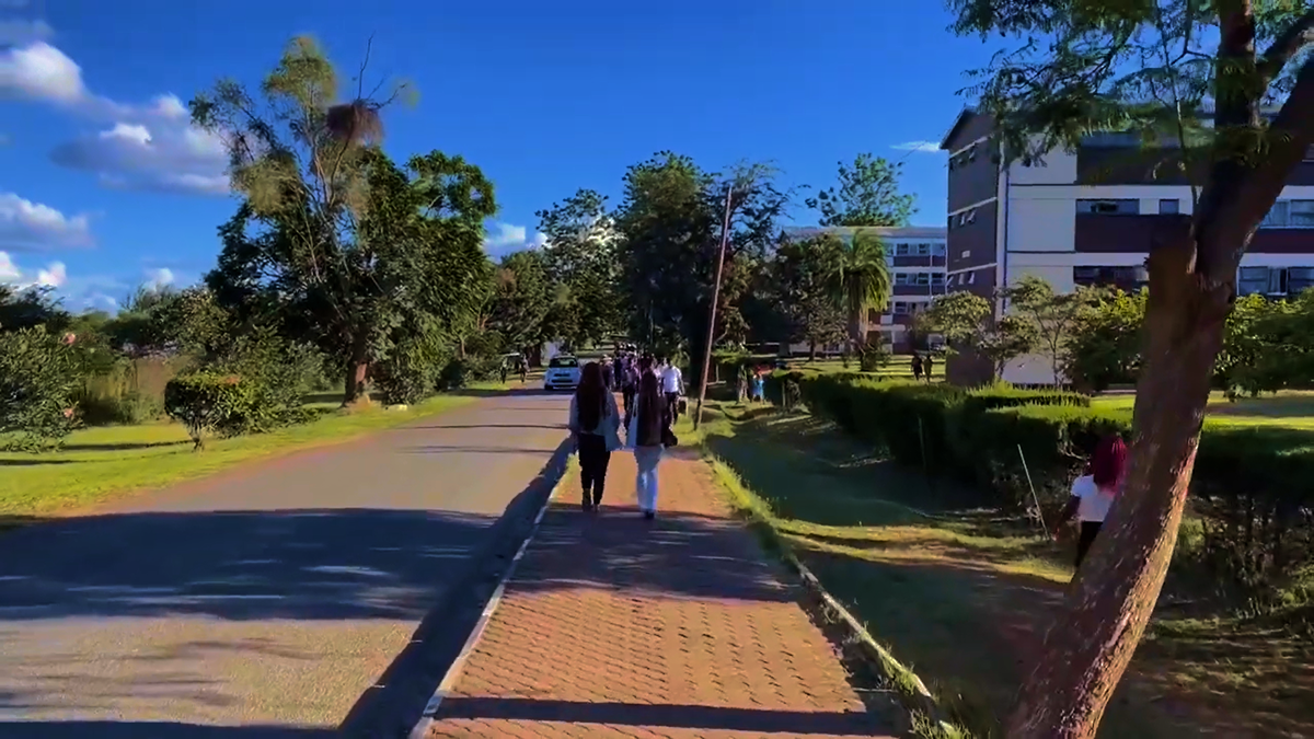Midlands State University