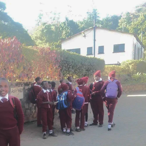 Ironsides Primary School 