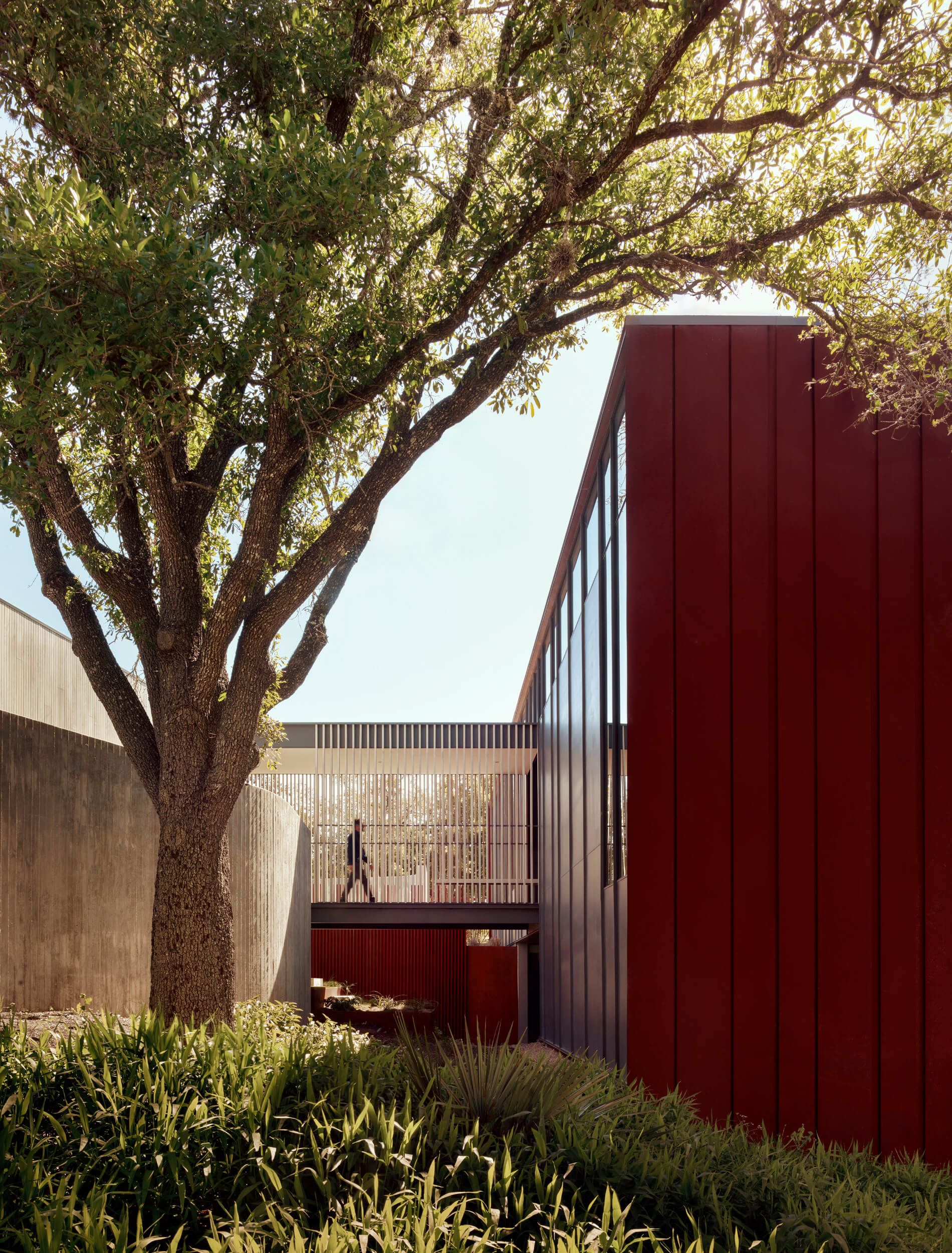 Barton Hills Residence - image 4 of 10