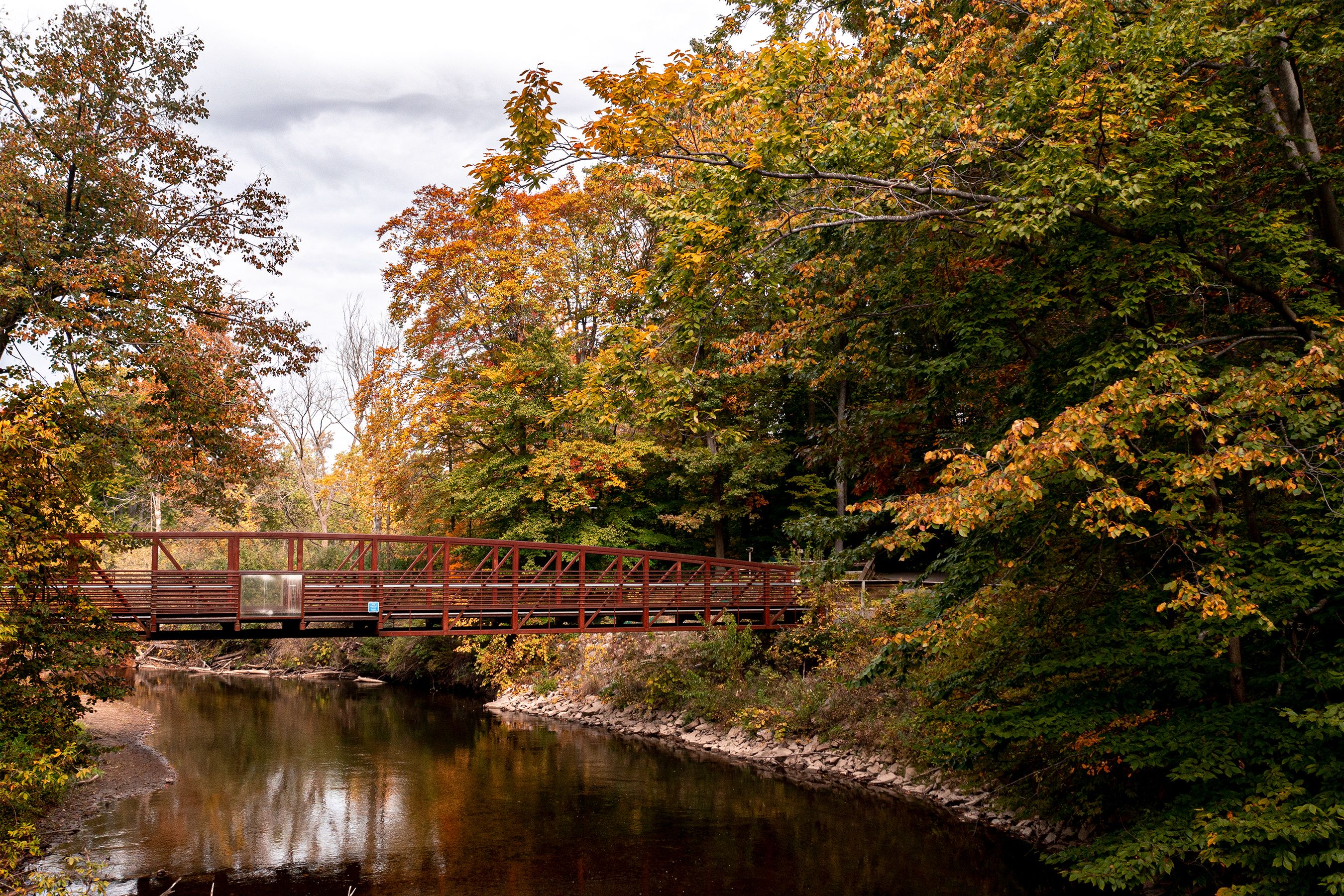 Bridge in the forest during fall