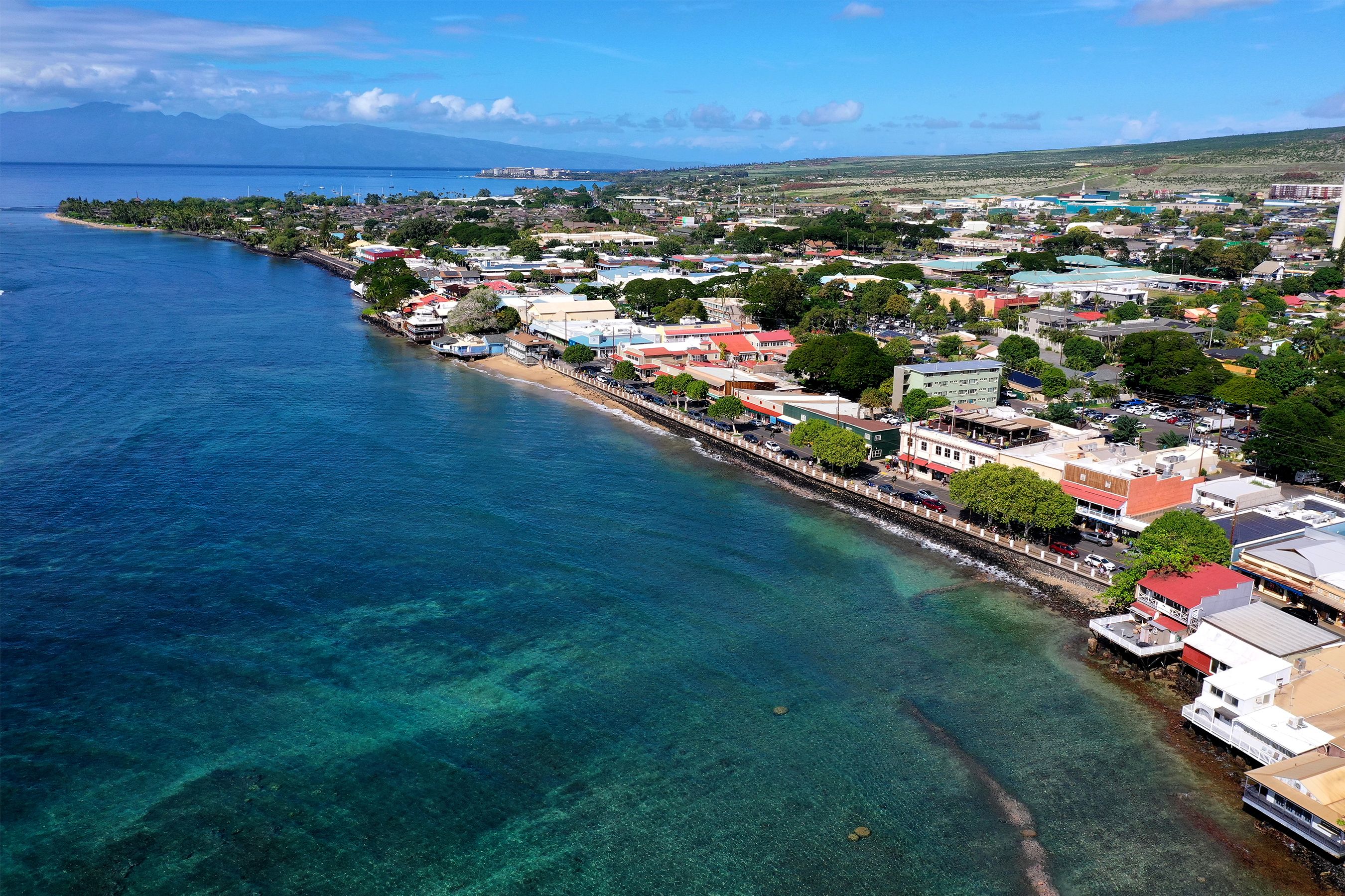 Lahaina Shore Line