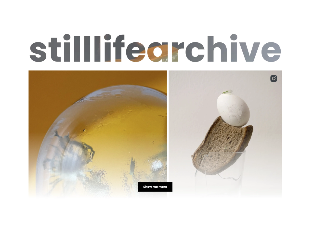 A preview of the stilllifearchive section of the website