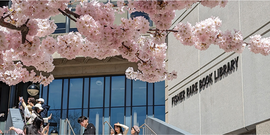 Branding / UX / Web Design