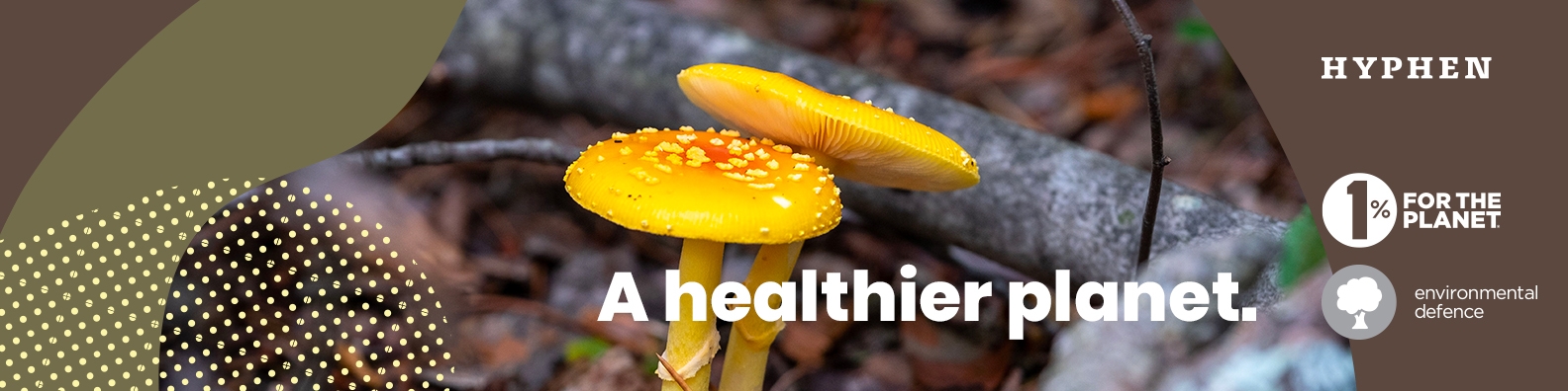 Two generations of Ramsden (from right): Bob & Andrew Ramsden