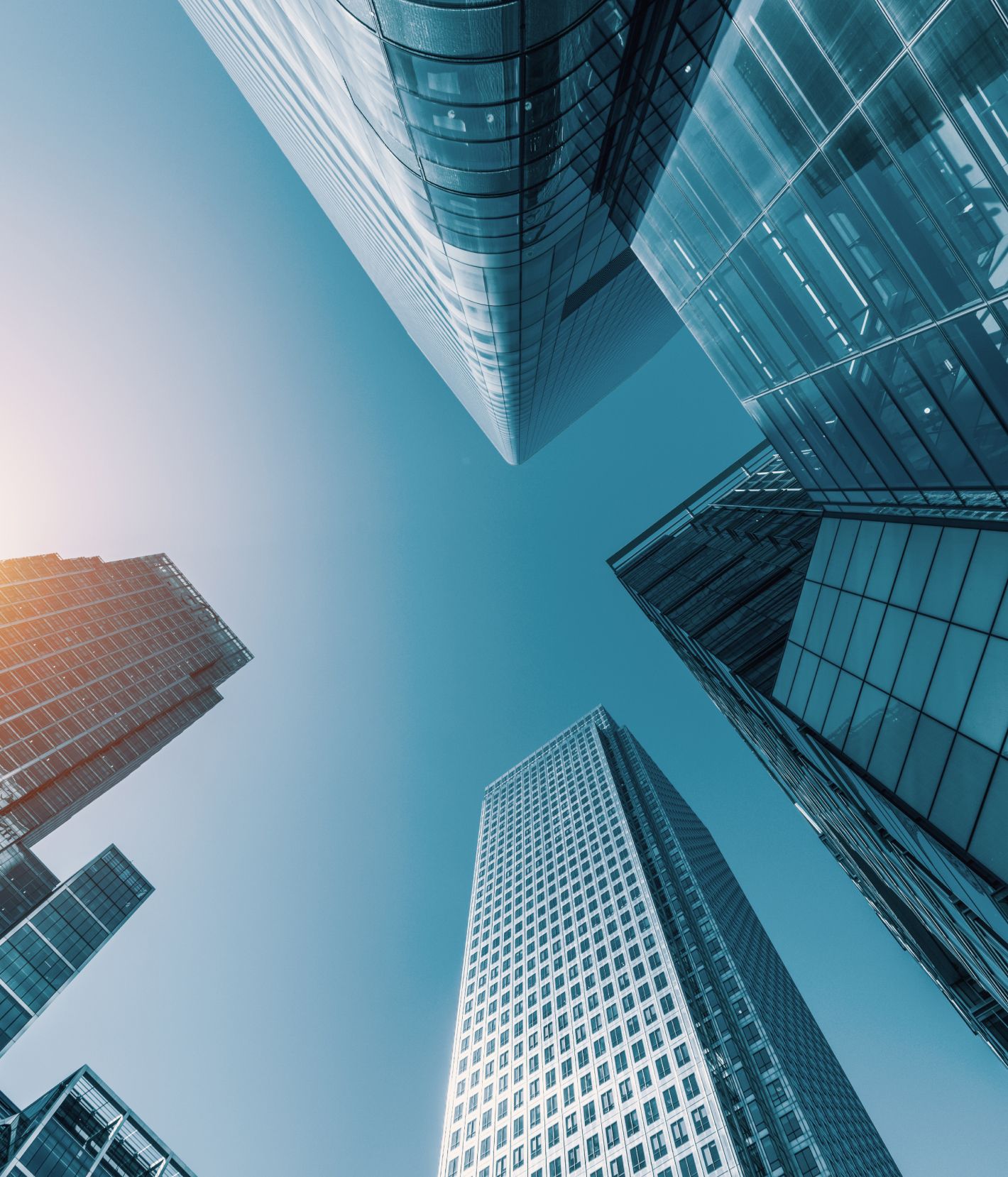 Canter Holland Stock Image