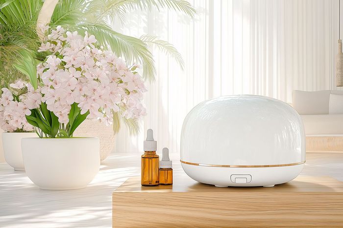 How to Make Your Home Smell Amazing Naturally How to Make Your Home Smell Amazing Naturally