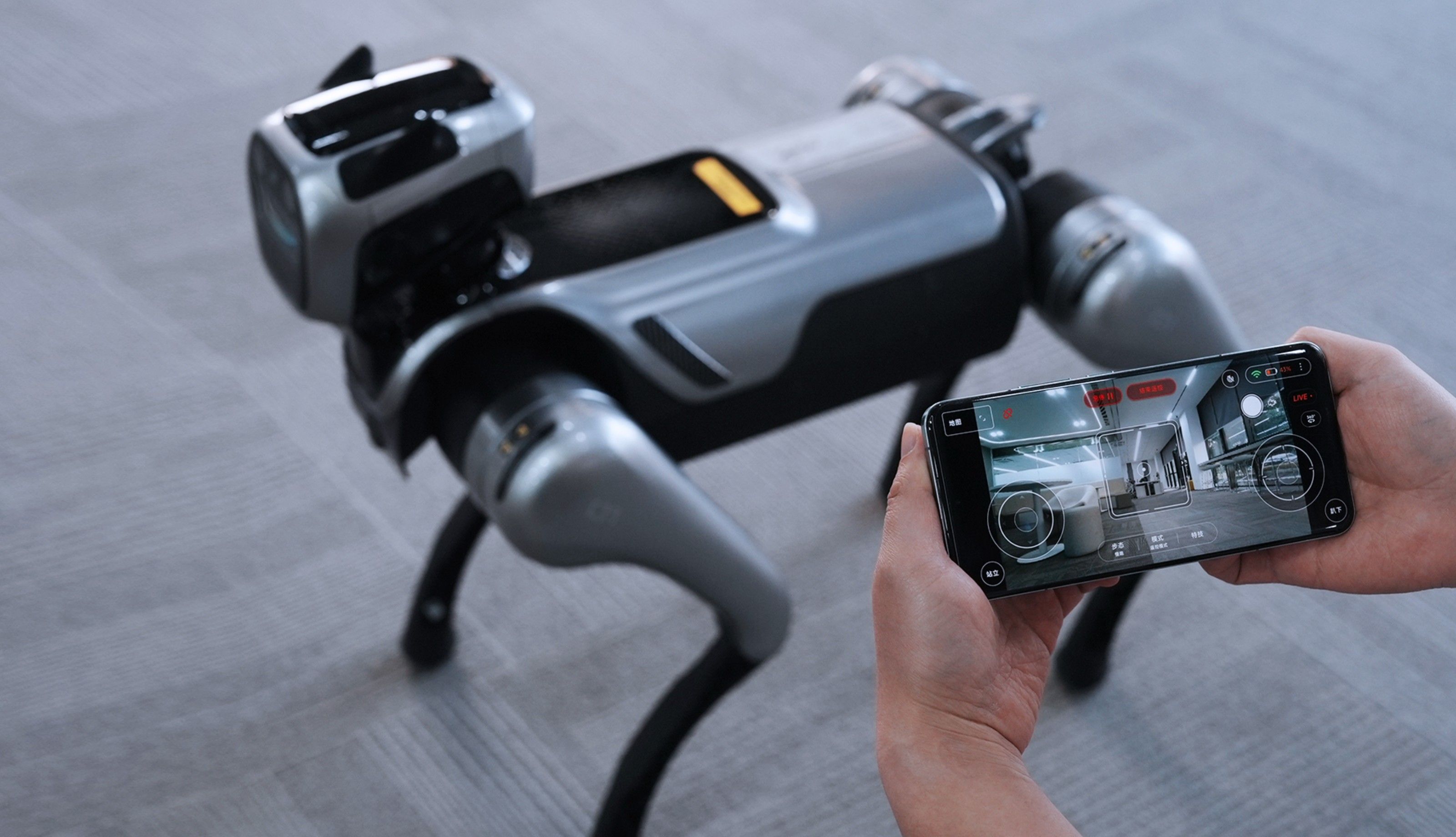 MagicDog Pro 5