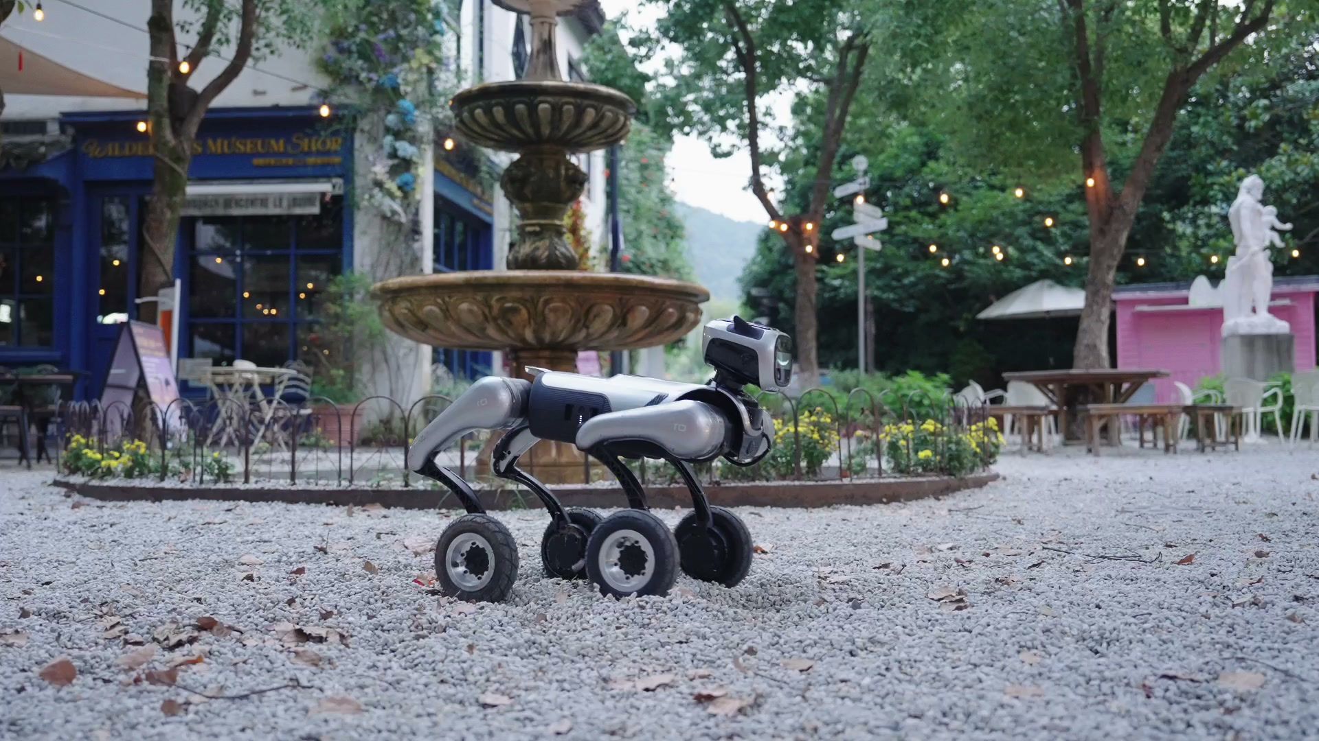 MagicDog-W wheeled quadruped robot operating in a public square