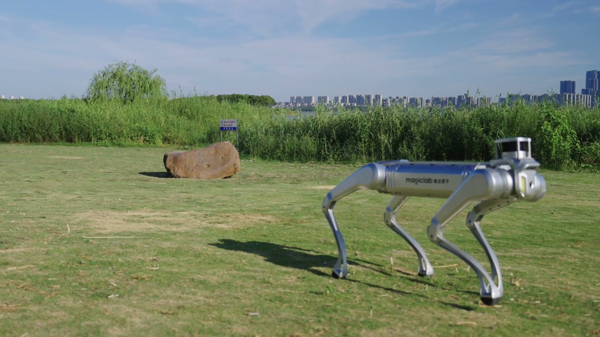 MagicDog Y1 industrial quadruped robot walking on open ground