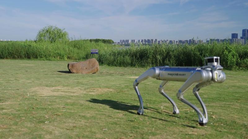 MagicDog Y1 industrial quadruped robot walking on open ground