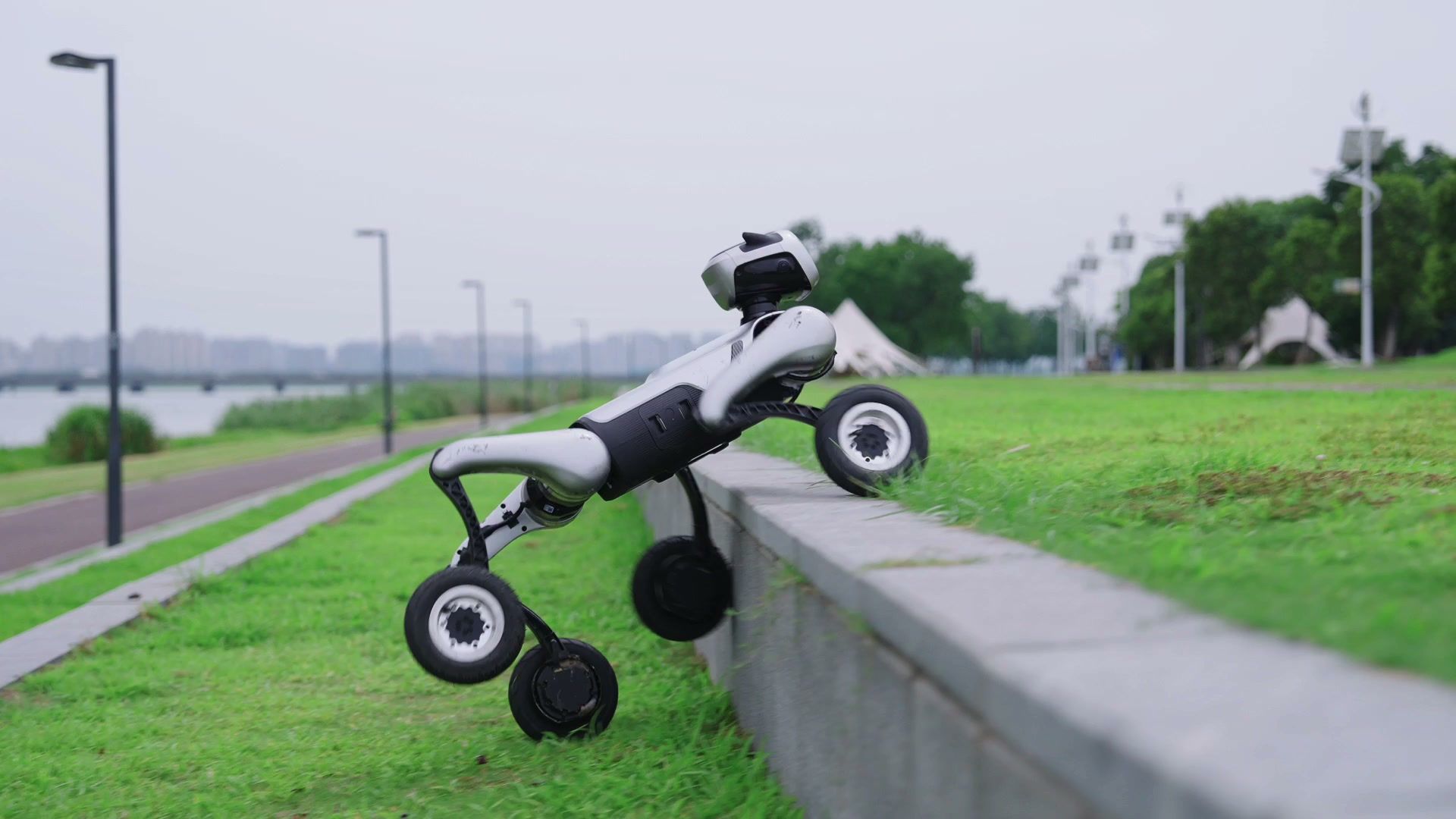 MagicDog-W wheeled quadruped robot traversing a low wall