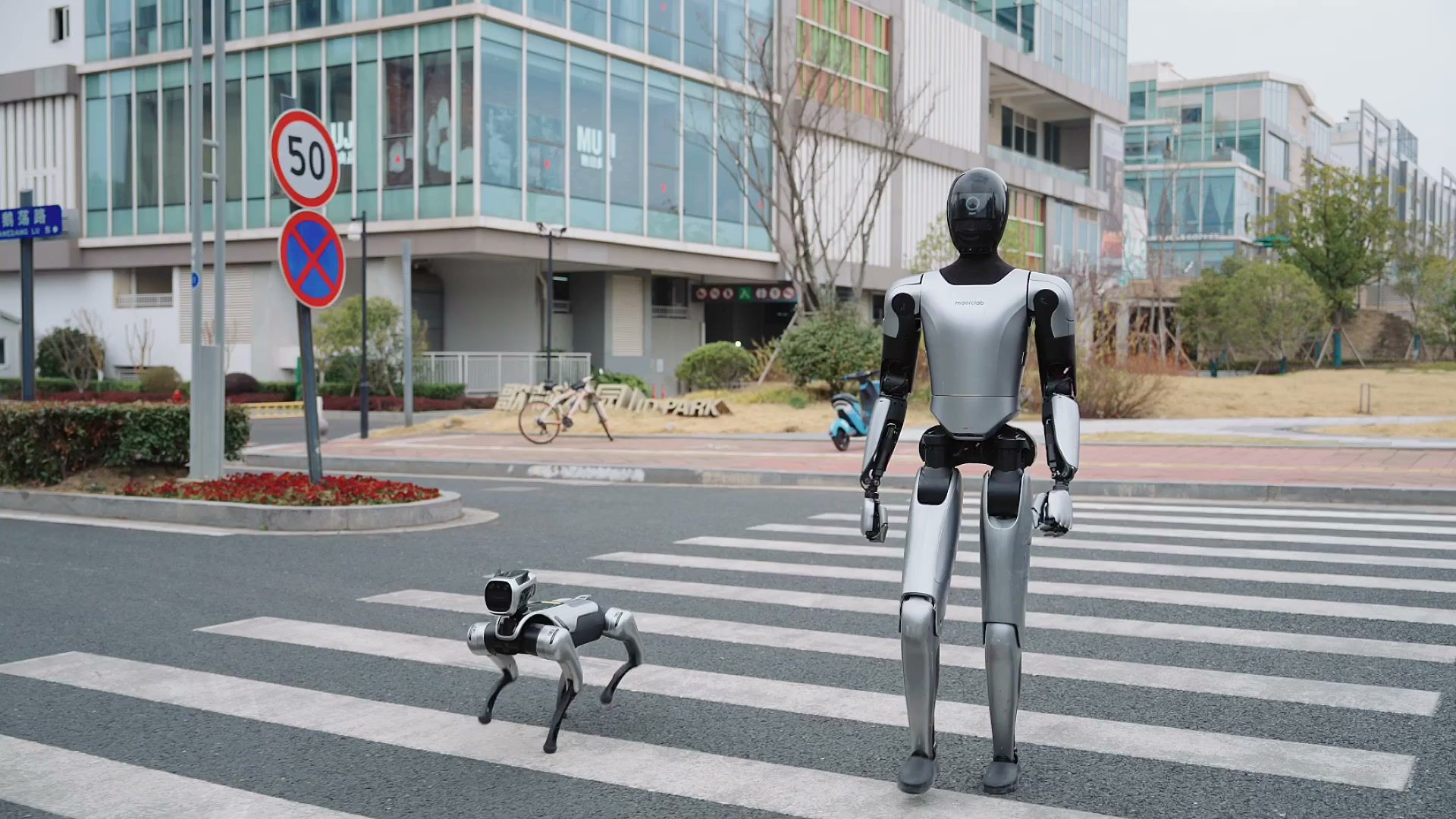 MagicBot humanoid robot crossing a road beside a quadruped robot