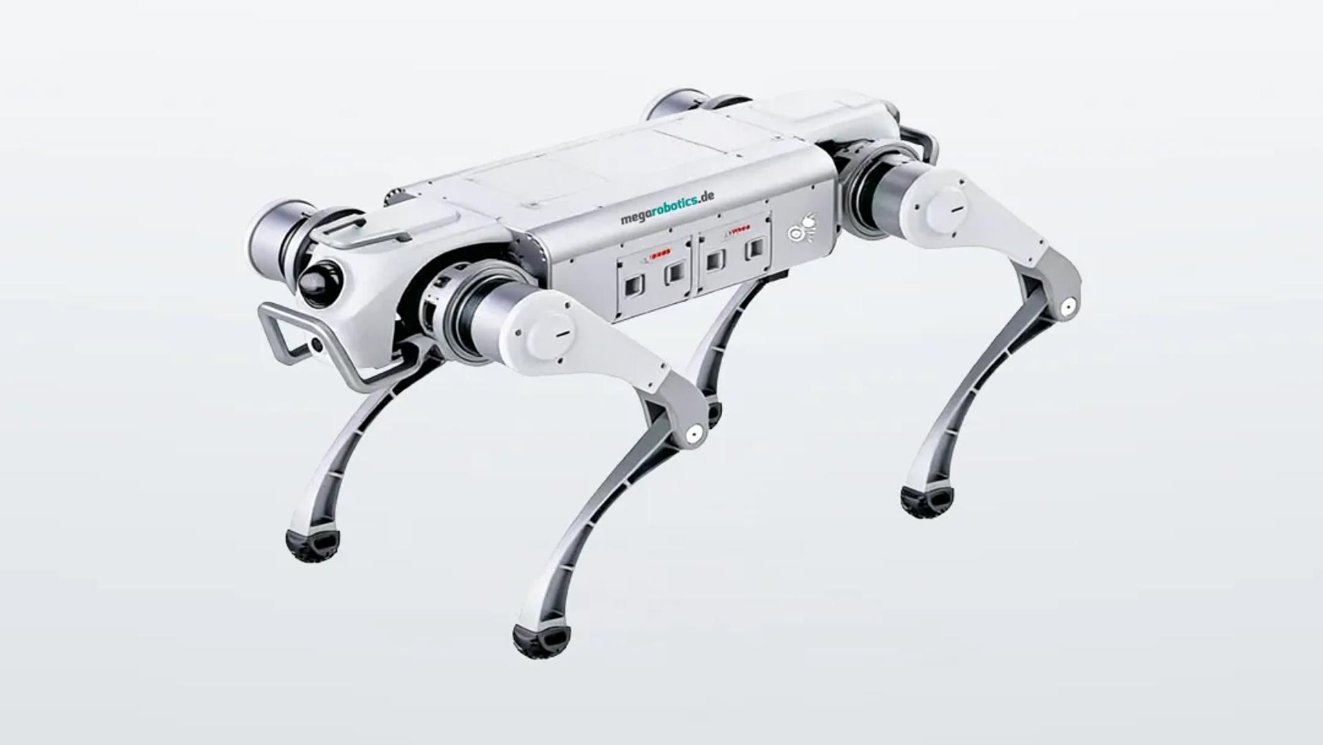 Quadruped robot