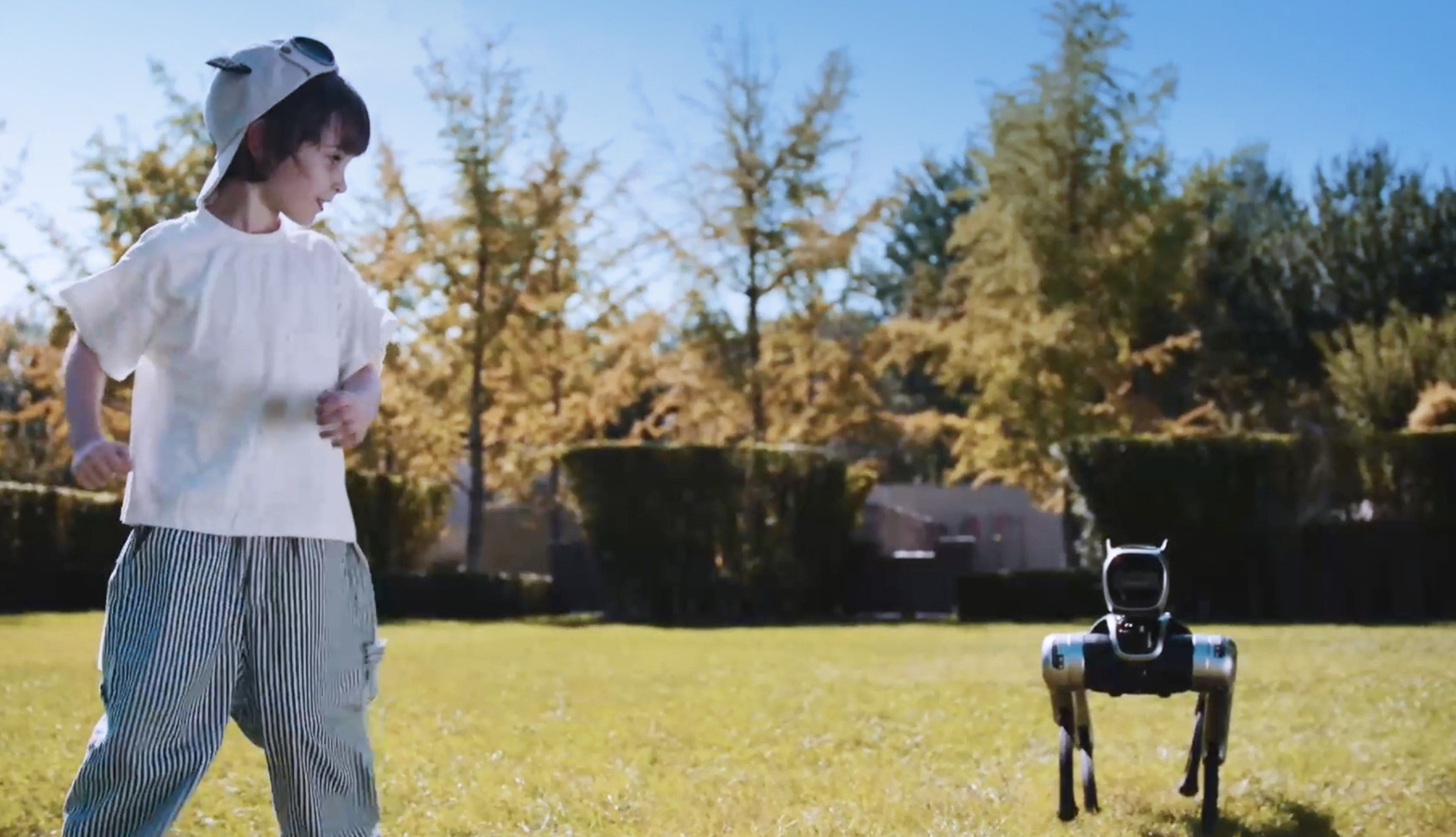 MagicDog Pro 3