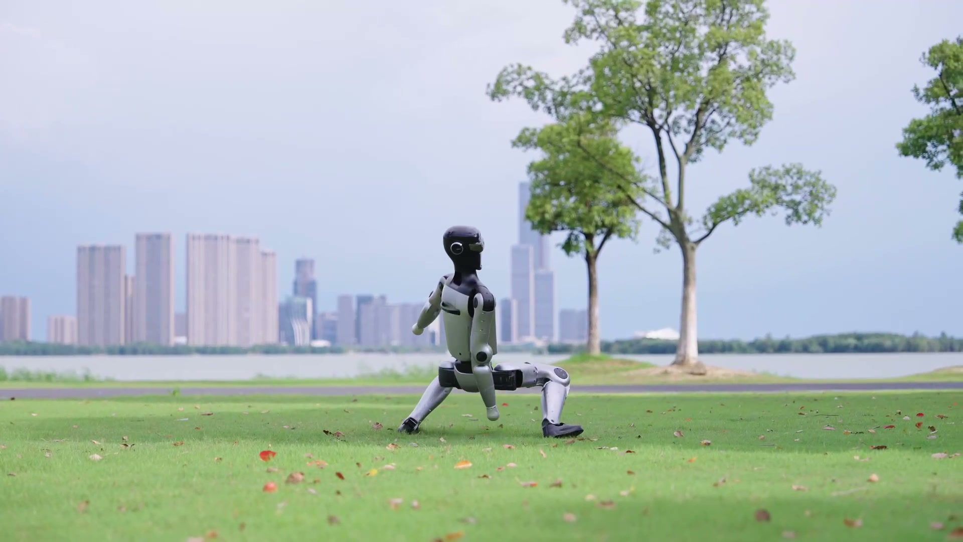 MagicBot Z1 humanoid robot walking across open grass
