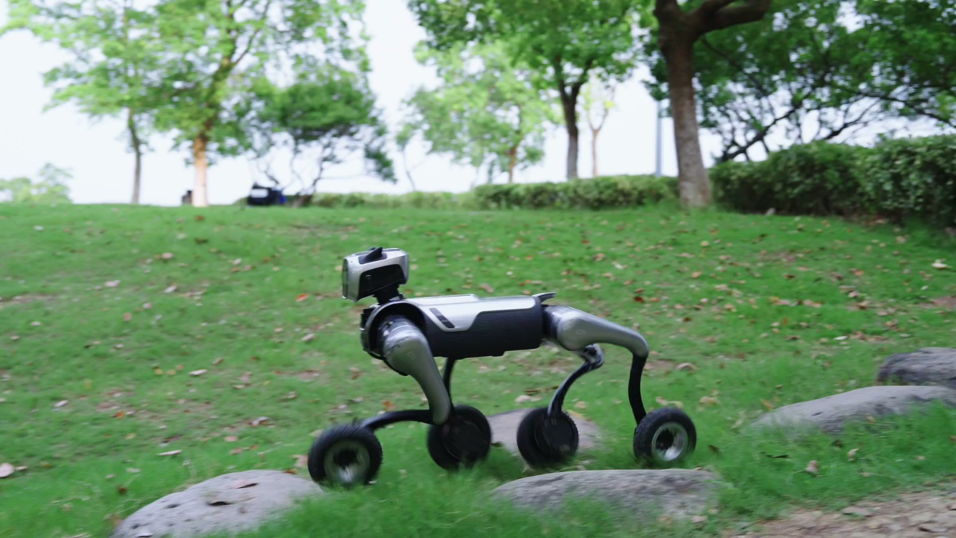 MagicDog-W wheeled quadruped robot crossing rocky ground