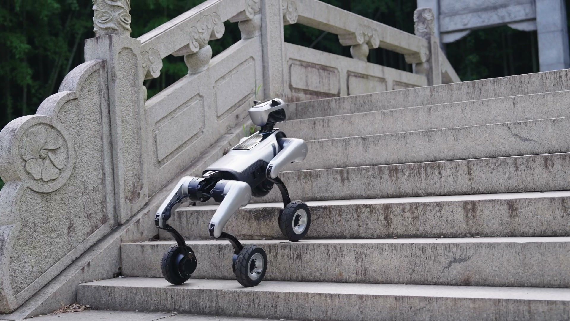 MagicDog-W wheeled quadruped robot climbing stone steps