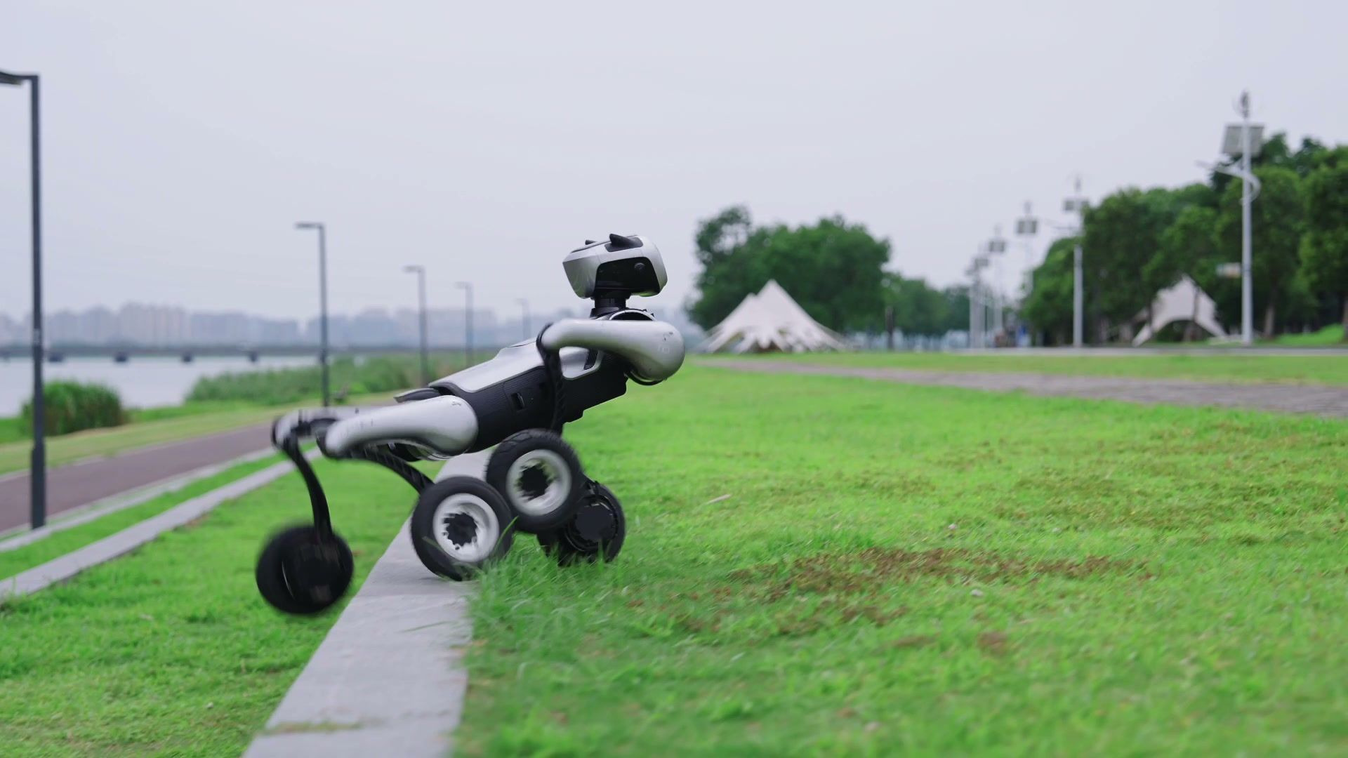 MagicDog-W wheeled quadruped robot on a grassed embankment