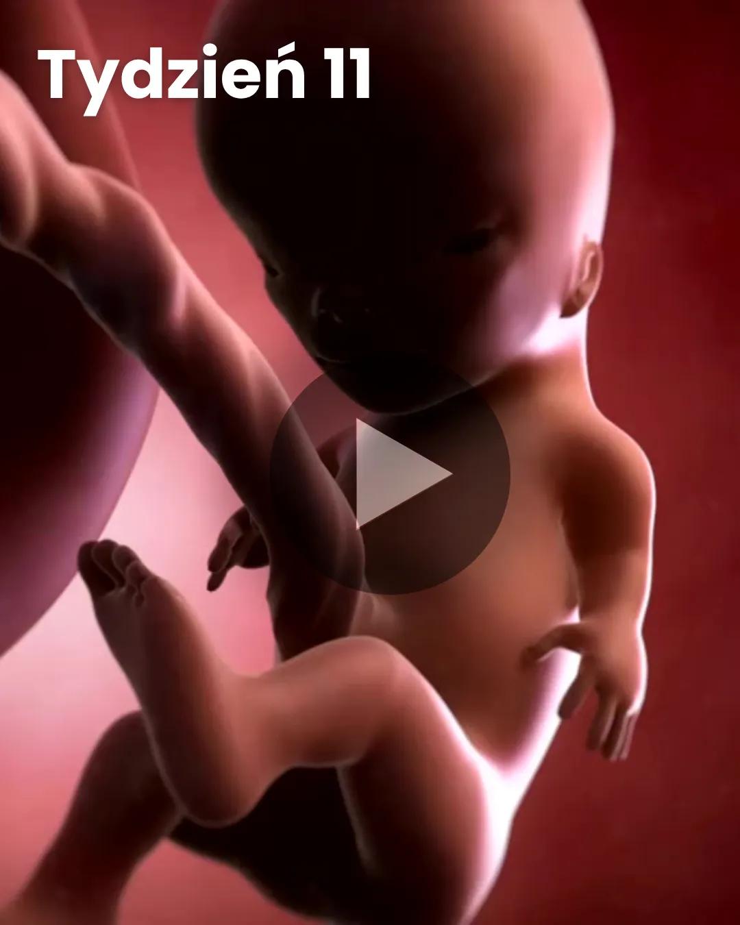 Wideo 3D dziecka: Tydzień 11