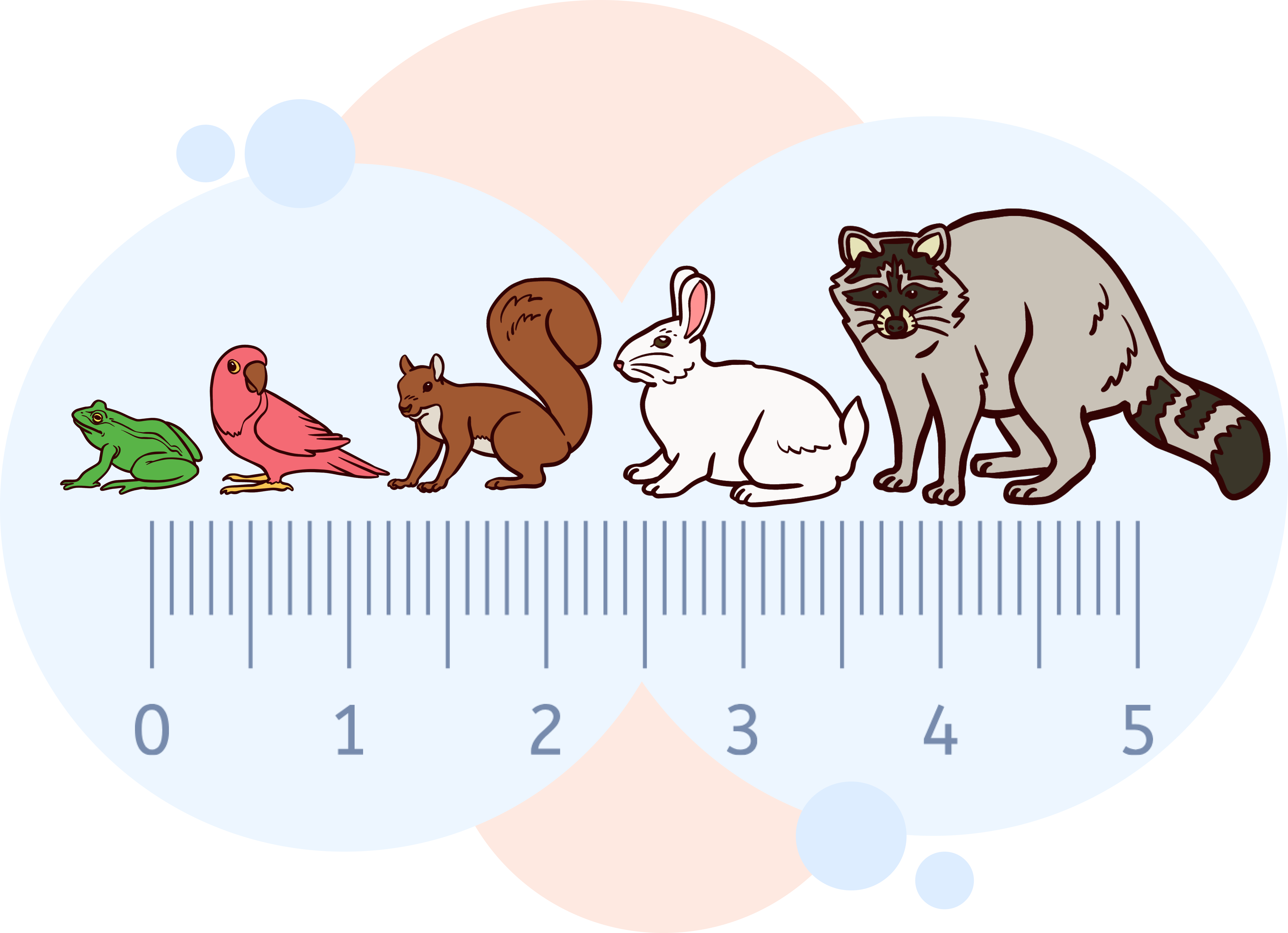 Comparing Your Baby's Size to Animals