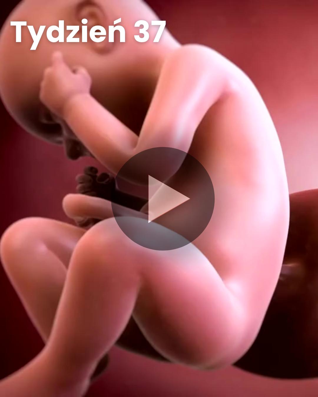 Wideo 3D dziecka: Tydzień 37