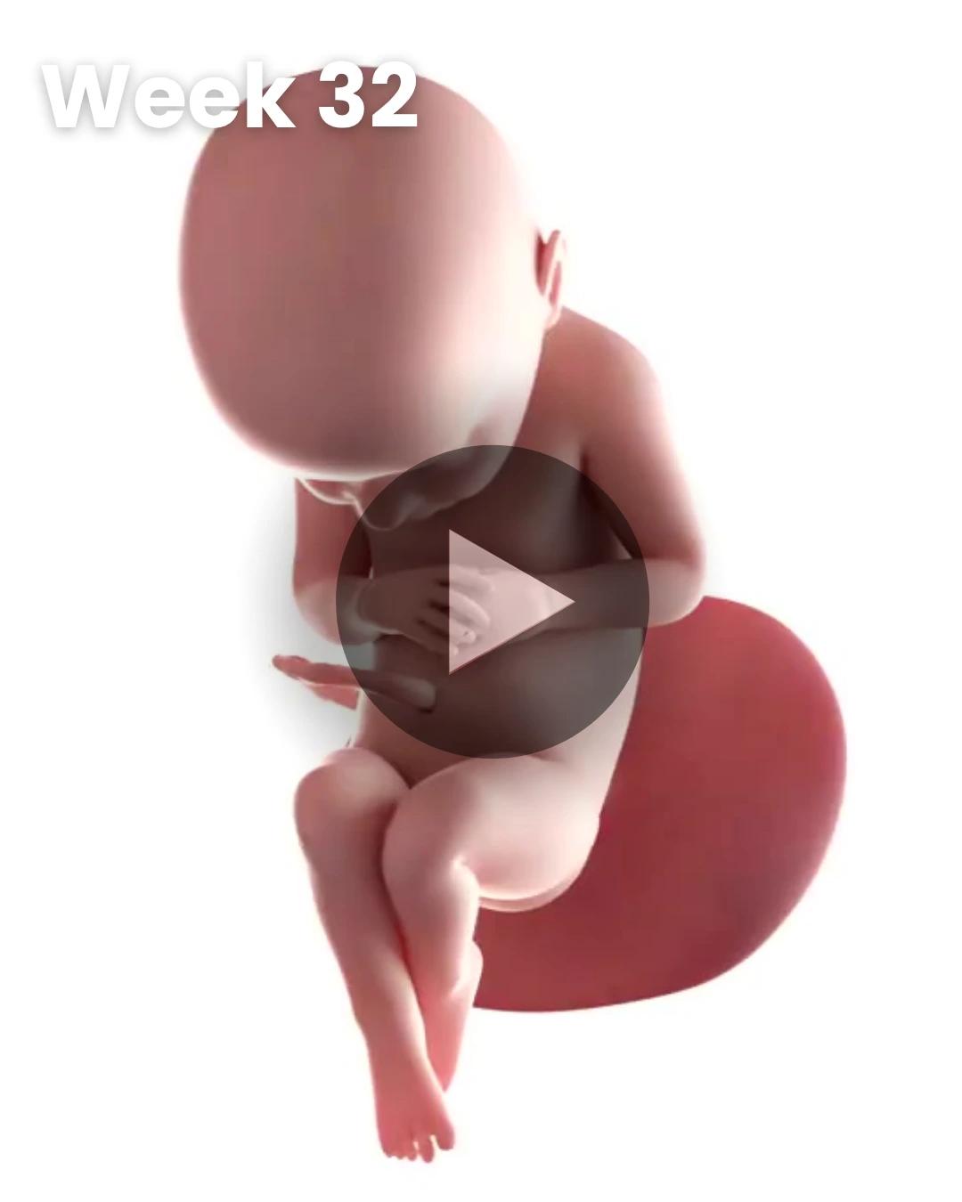 3D video baby update: Week 32