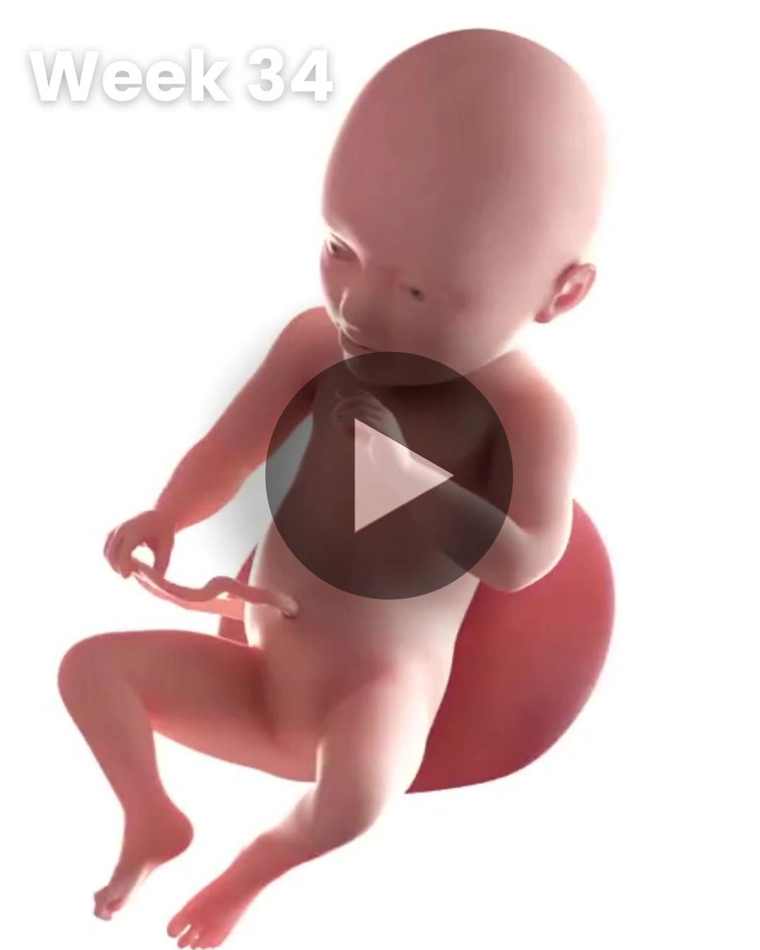 3D video baby update: Week 34