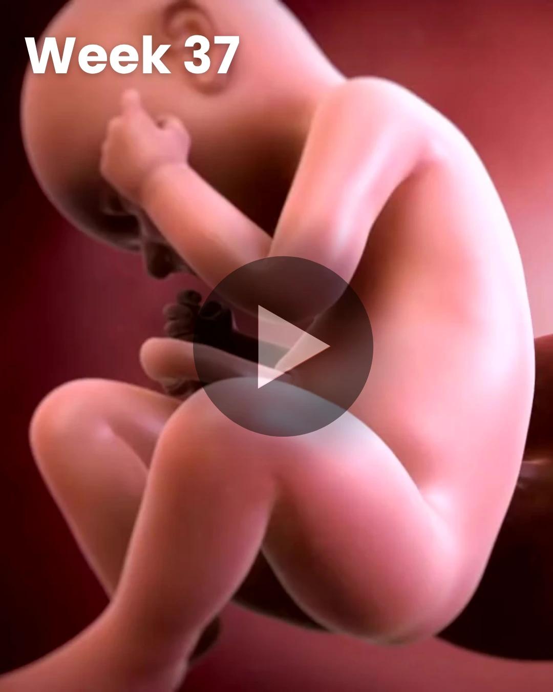 3D video baby update: Week 37