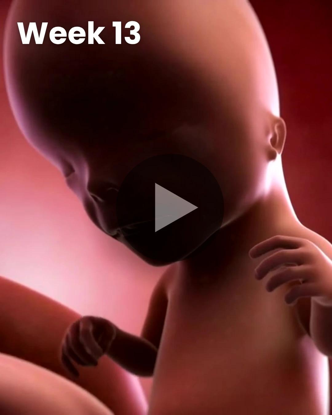 3D video baby update: Week 13