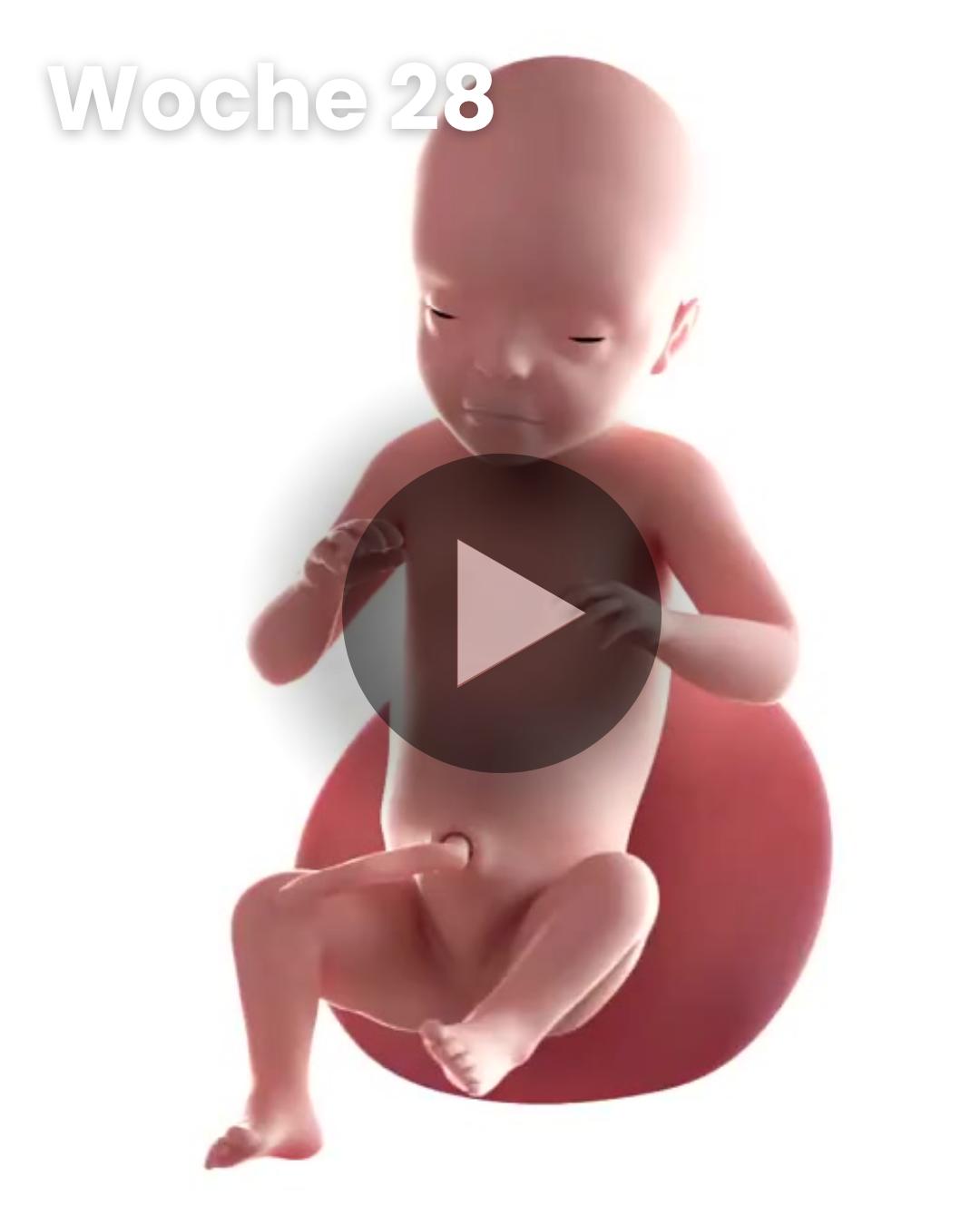 3D-Video des Kindes: Woche 28