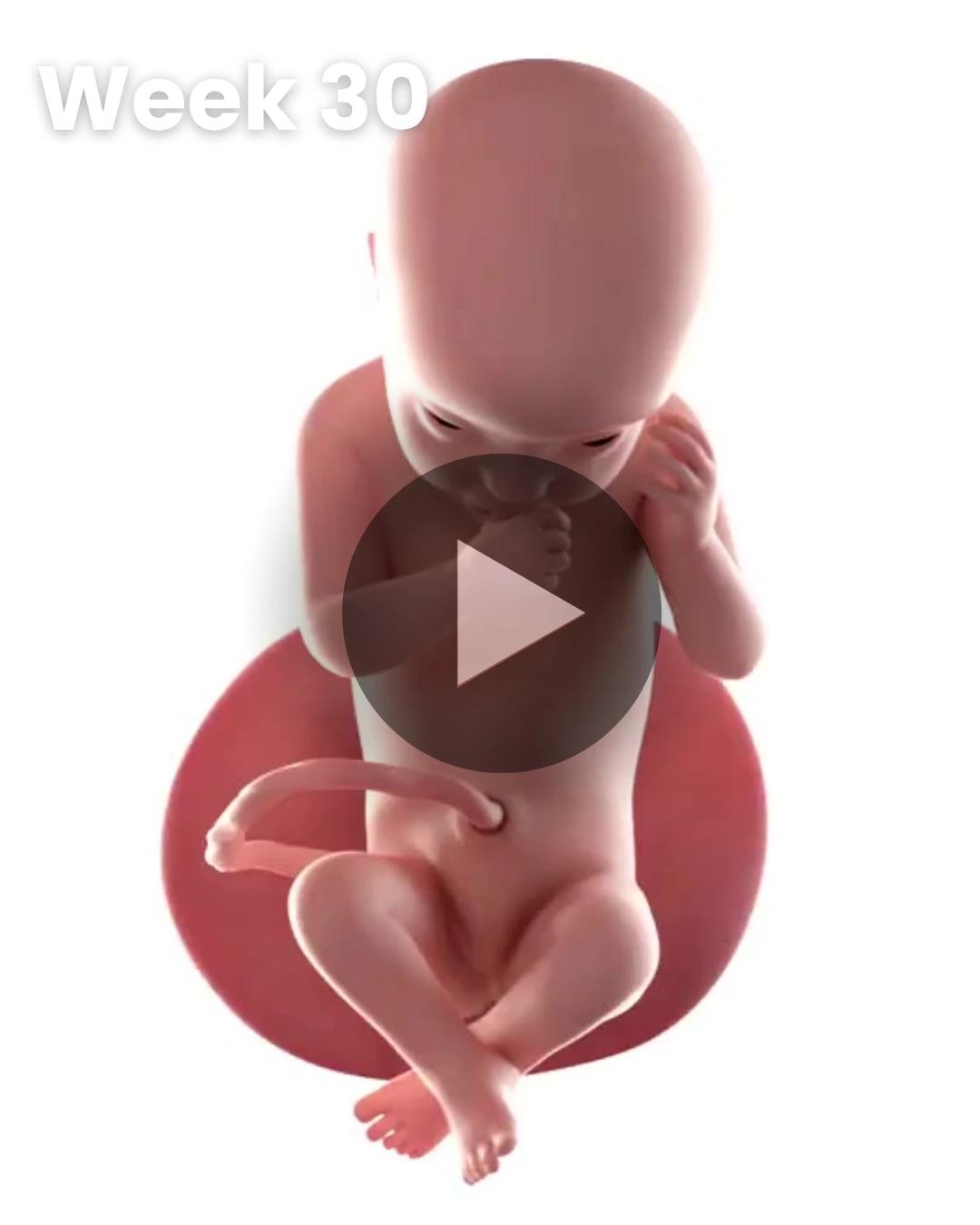 3D video baby update: Week 30
