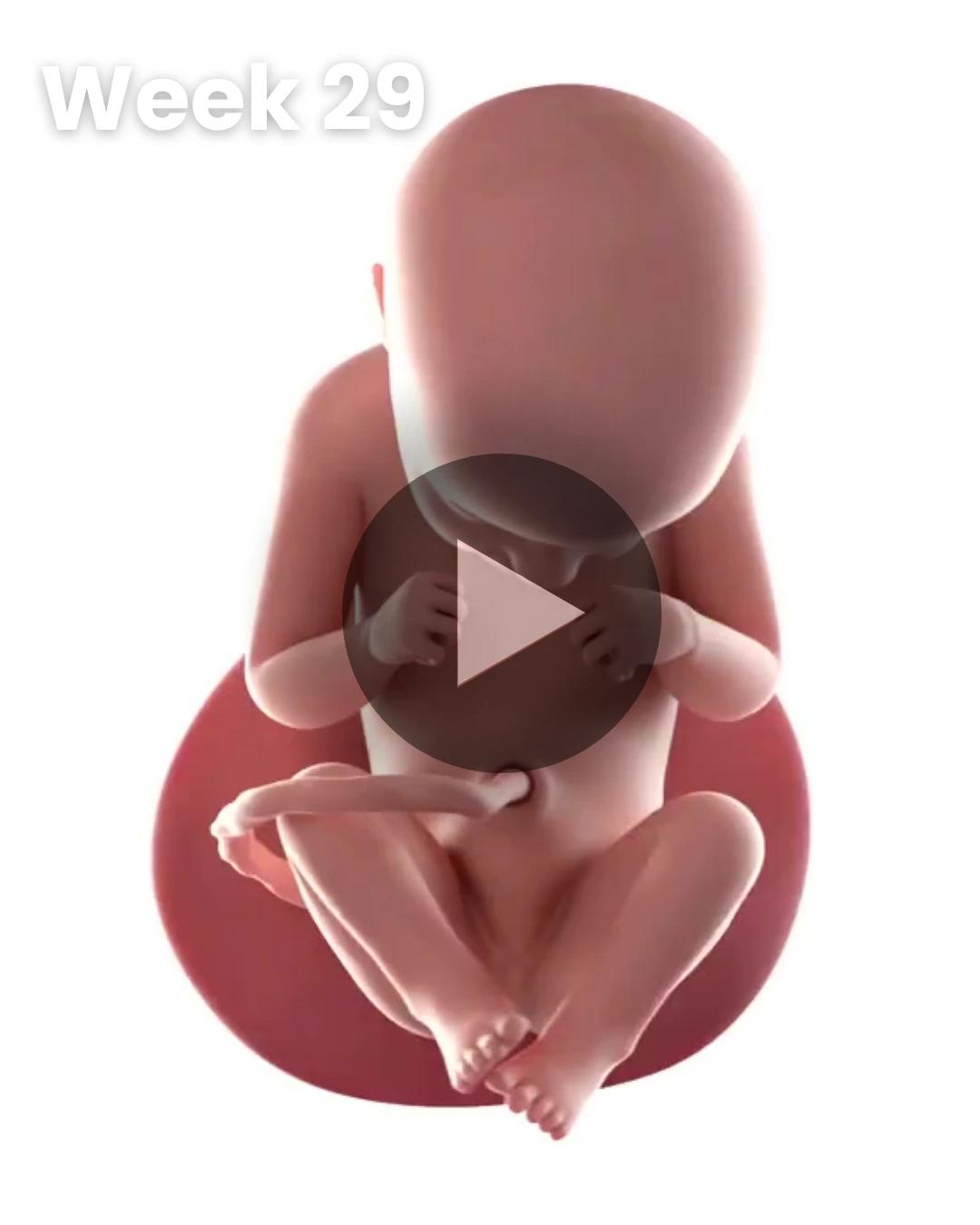 3D video baby update: Week 29