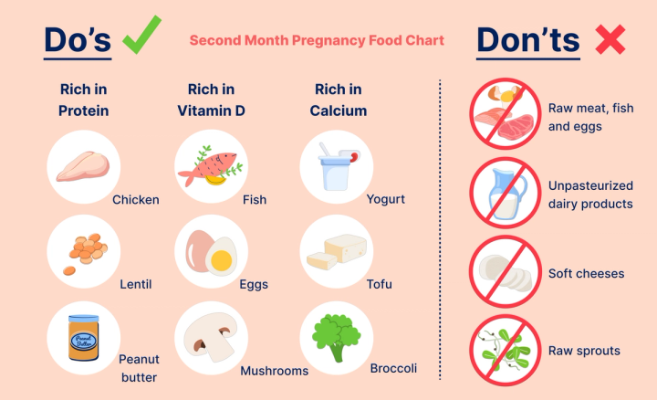 Ernährungstabelle für den zweiten Monat der Schwangerschaft