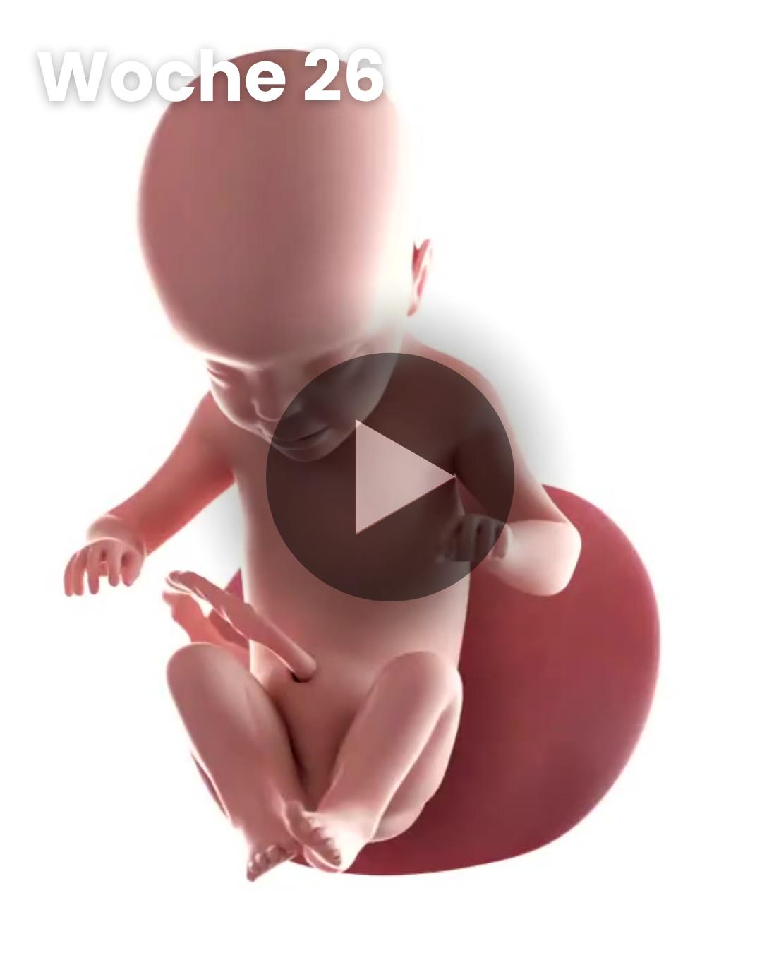 3D-Video des Kindes: Woche 26
