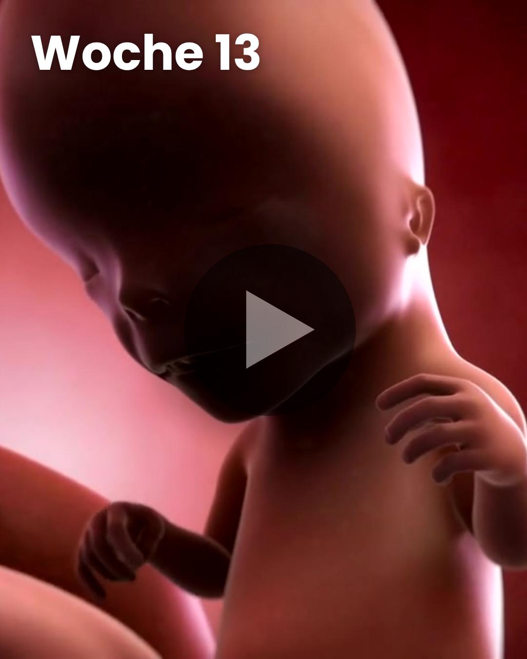 3D-Video des Kindes: Woche 13