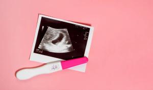 Week 5: Neural Tube Formation - Your Baby's First Construction Project
