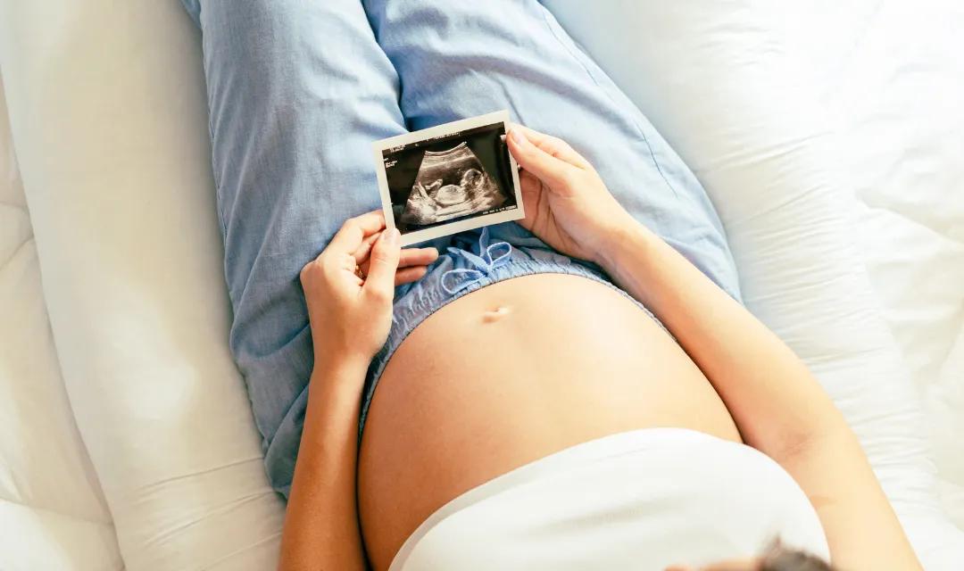 Week 8: The Great Transition - From Embryo to Fetus