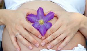 Week 10: Vital Organs Online - When Everything Starts Working