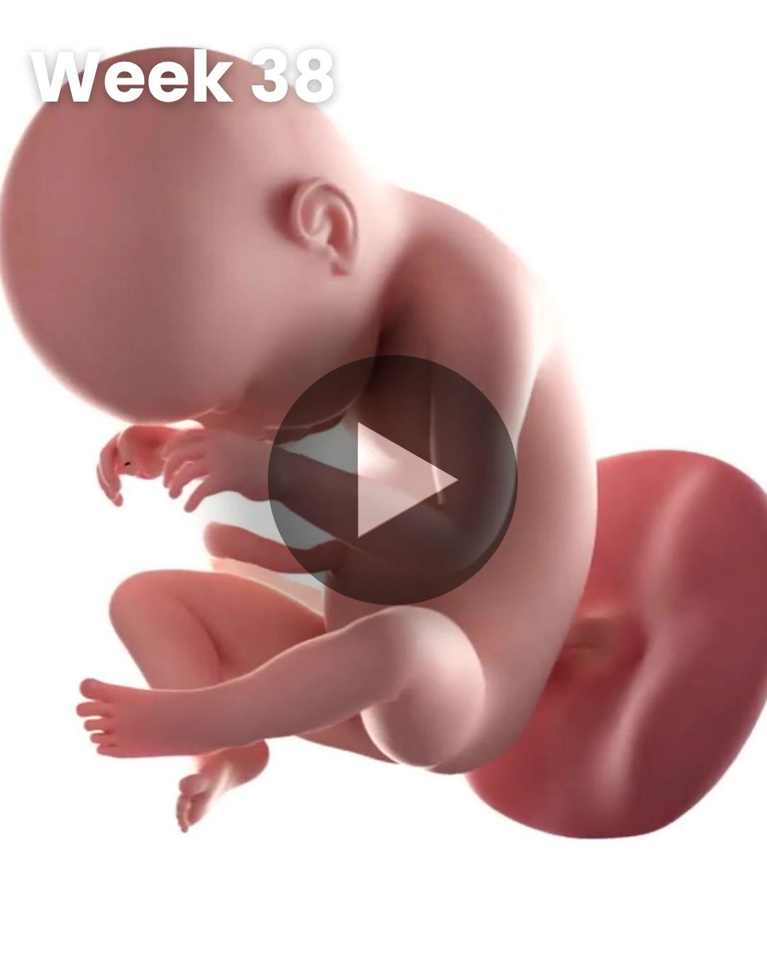 3D video baby update: Week 38