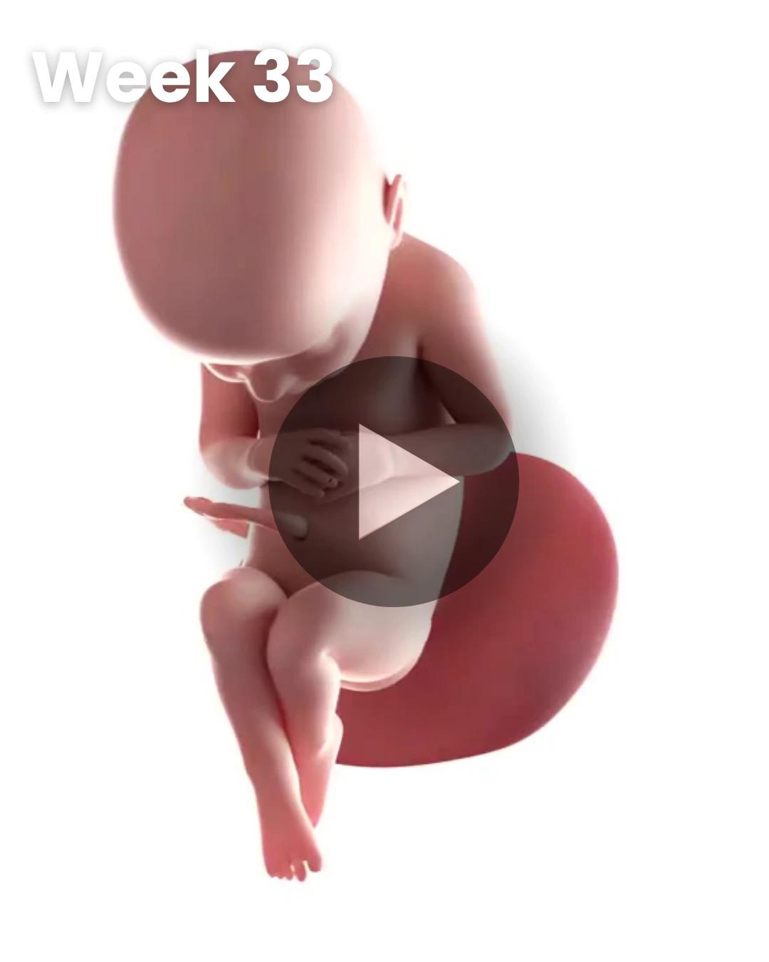 3D video baby update: Week 33