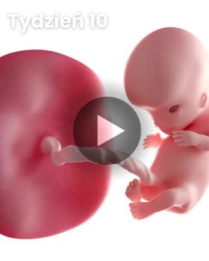 Wideo 3D dziecka: Tydzień 10