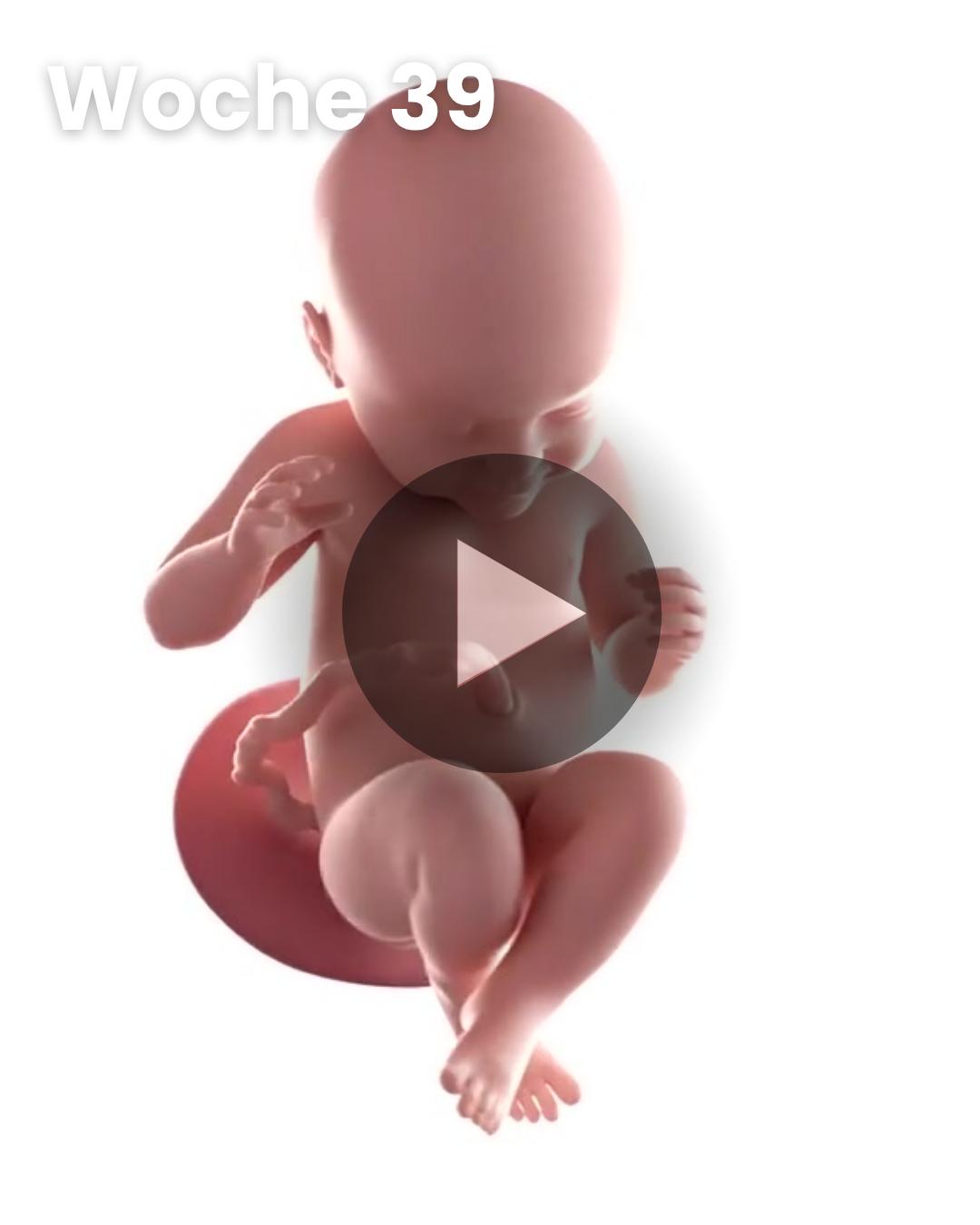 3D-Video des Kindes: Woche 39