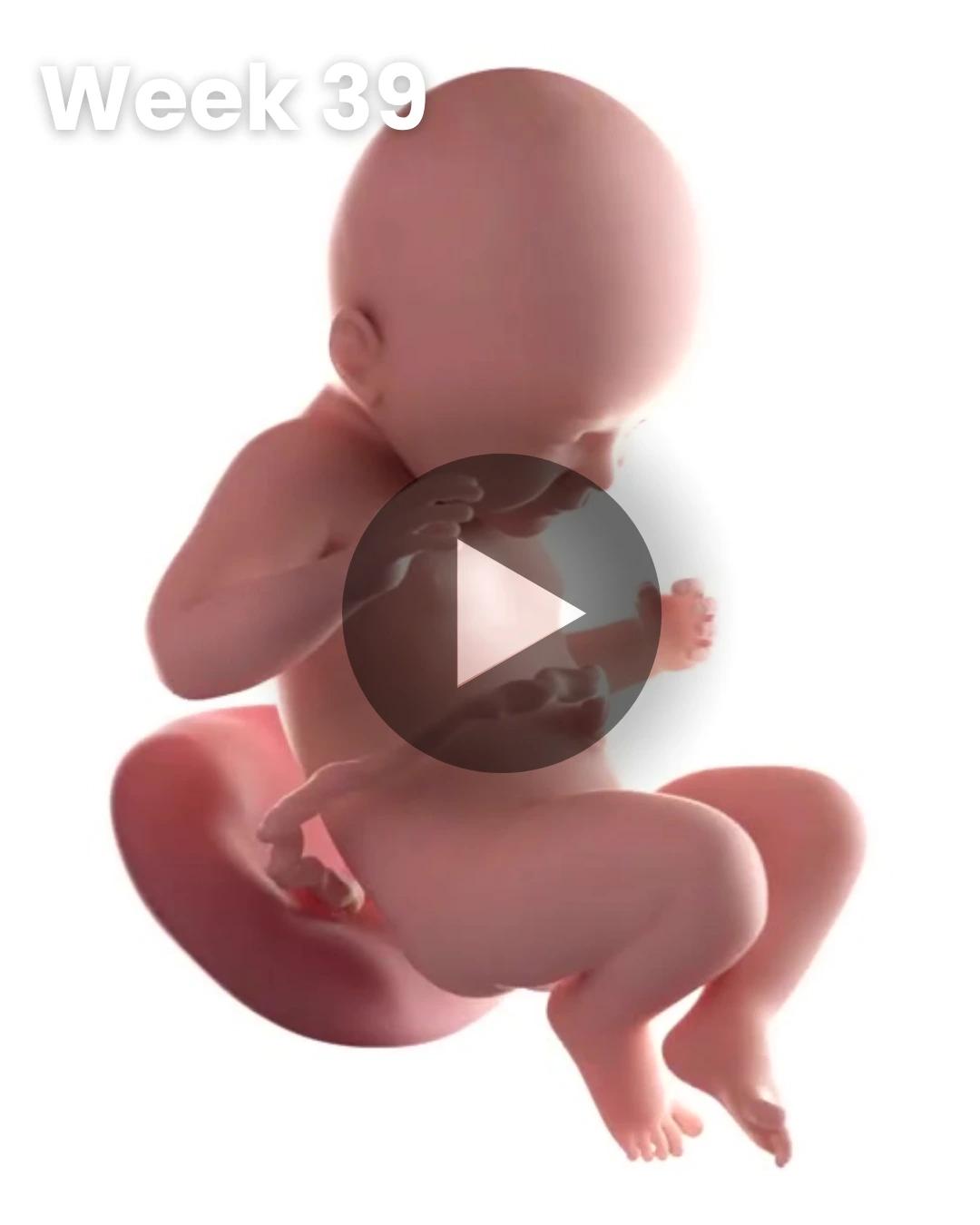 3D video baby update: Week 39