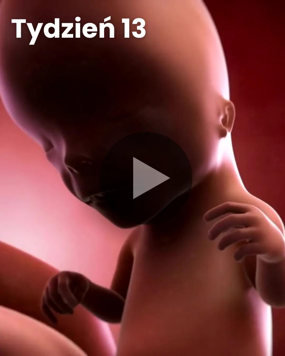 Wideo 3D dziecka: Tydzień 13